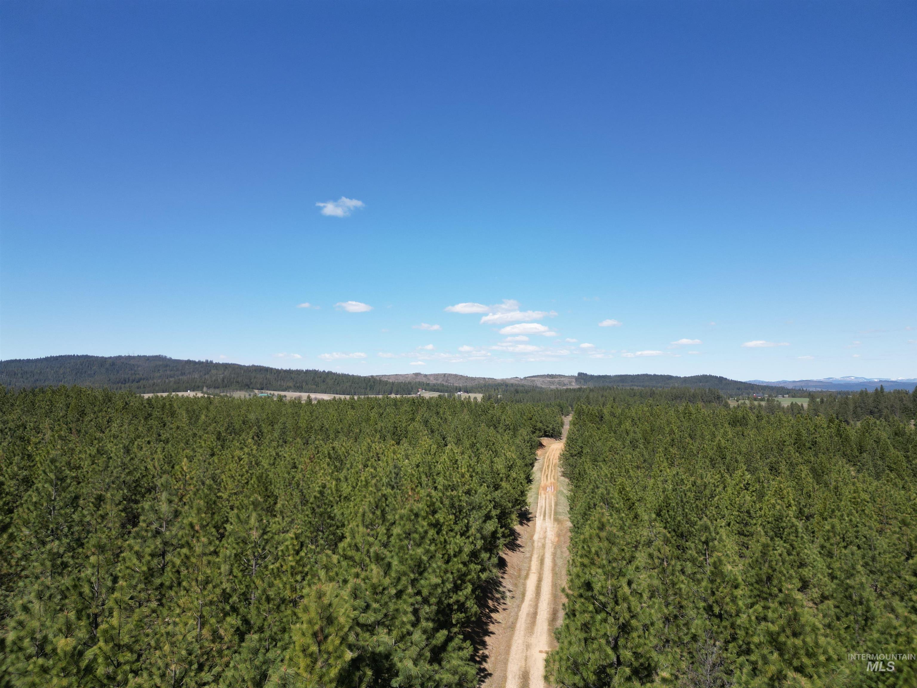 Tbd Middle Road Ahsahka, ID 83520 - Photo 3 of 31 Aerial view of a heavily wooded area and mountains