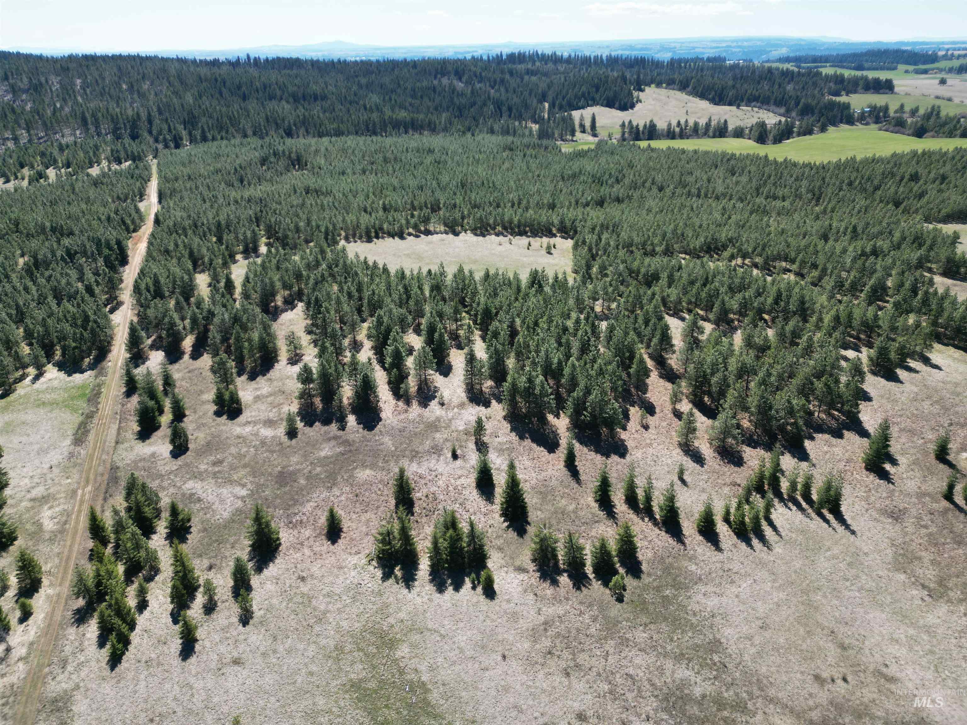 Tbd Middle Road Ahsahka, ID 83520 - Photo 10 of 31 Bird's eye view of a forest