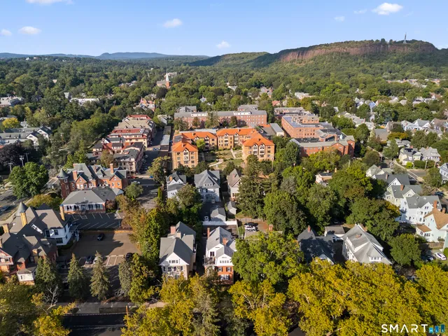 an aerial view of residential houses with outdoor space and trees