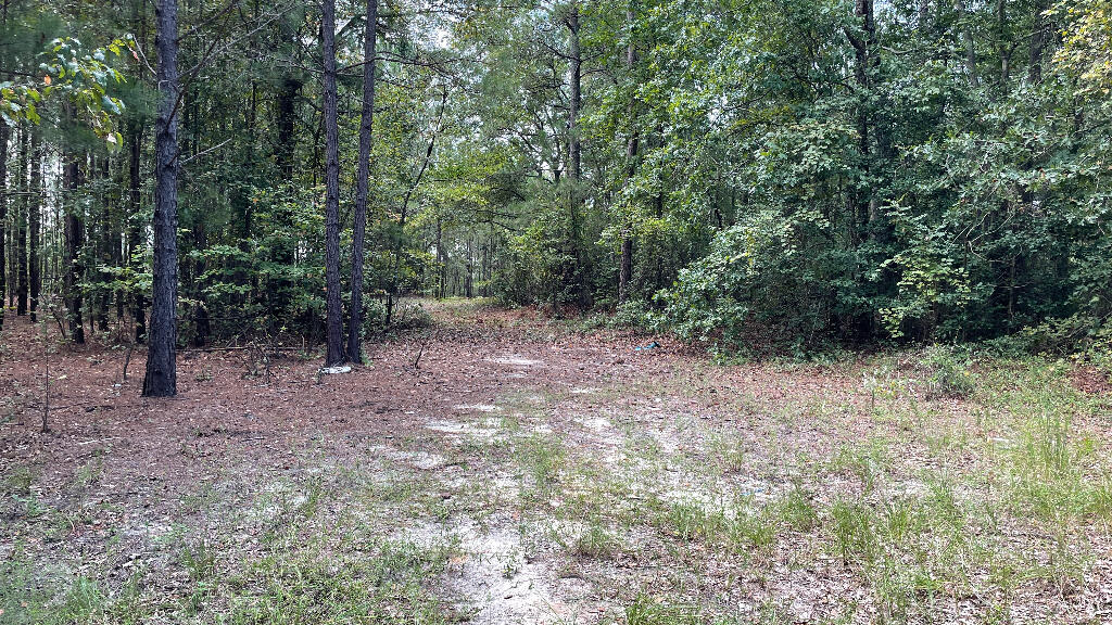 179 Jeffcoat Lane Ridge Spring, SC 29129 - Photo 22 of 24