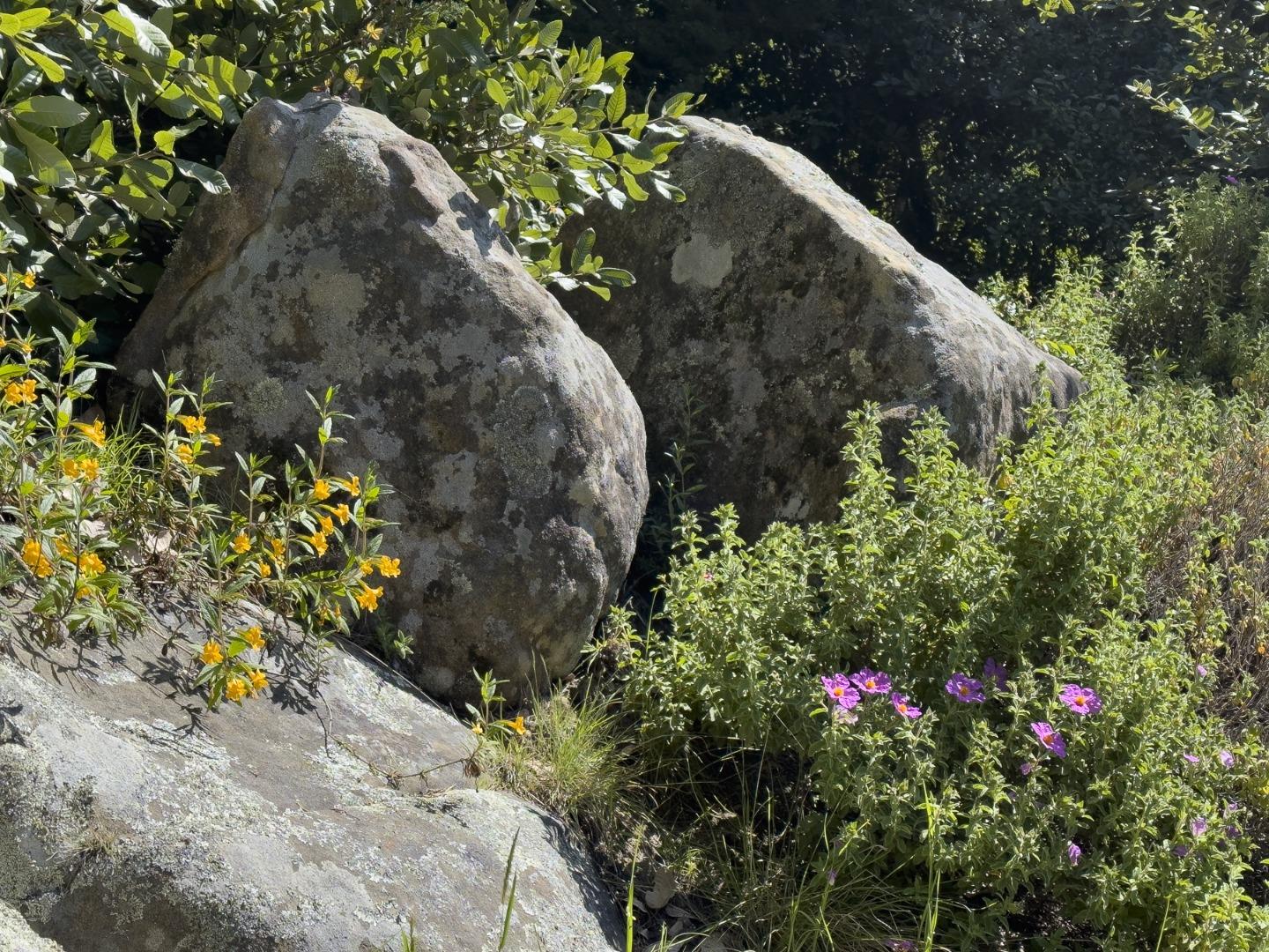 39858 Leeward Road The Sea Ranch, CA 95497 - Photo 40 of 46 Gallery Image 40