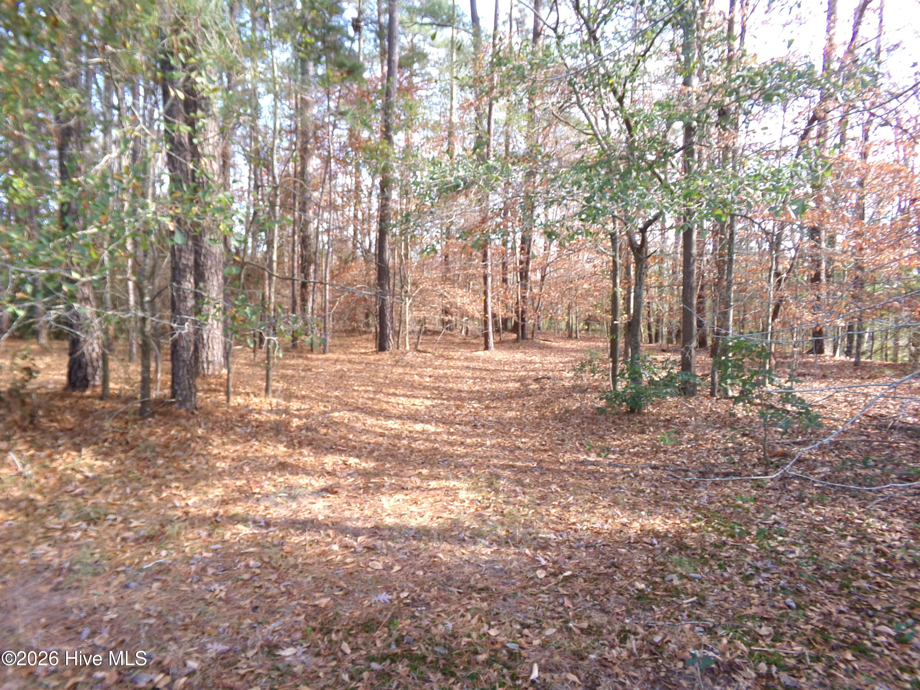 605 Howard Street Elizabethtown, NC 28337 - Photo 3 of 4 139_1040