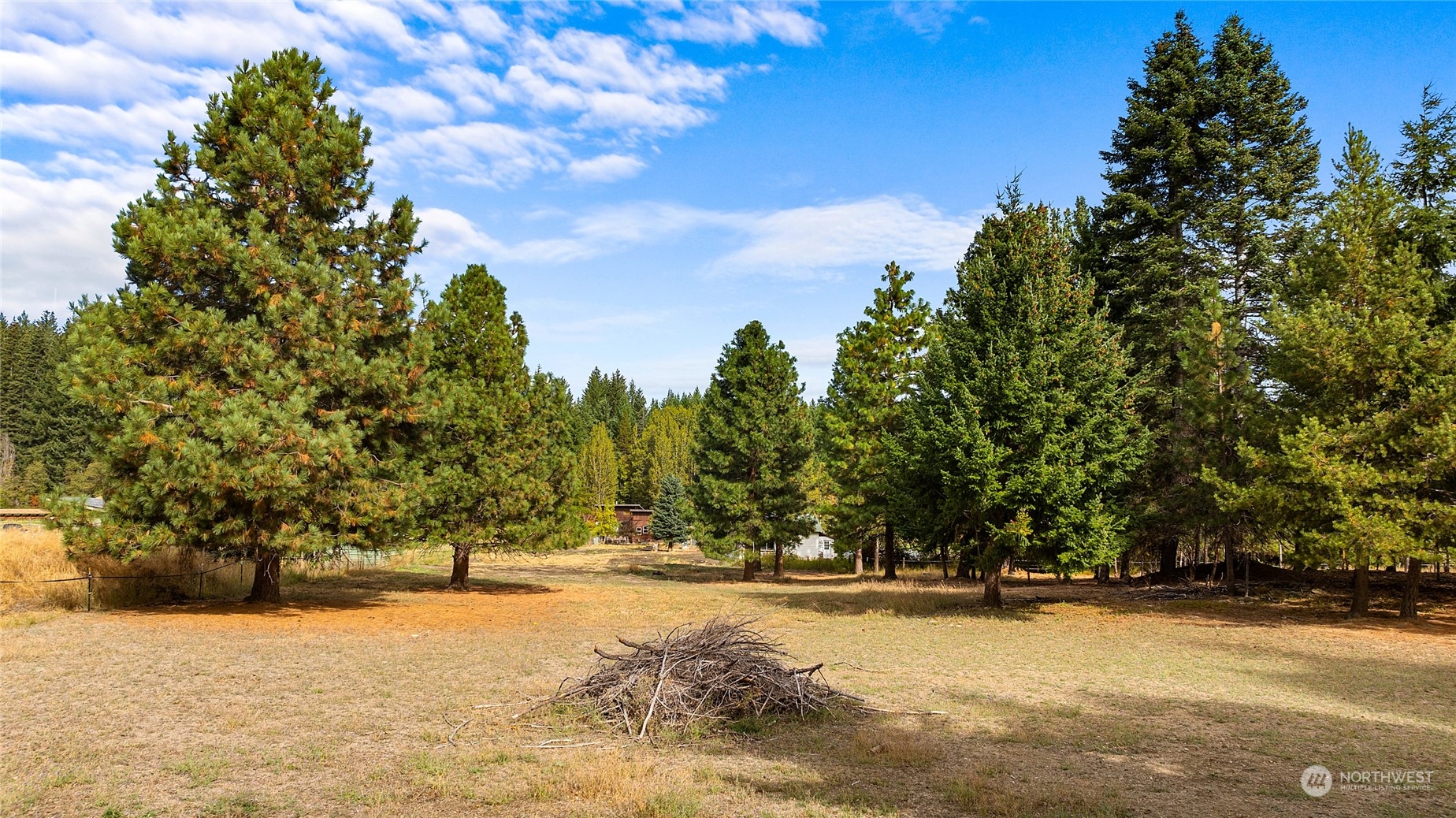590 Goat Peak Ranch Road Cle Elum, WA 98922 - Photo 39 of 39 Gallery Image 39