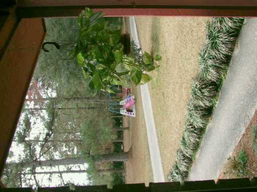 70094 Nancy Road Mandeville, LA 70471 - Photo 7 of 8 Gallery Image 7