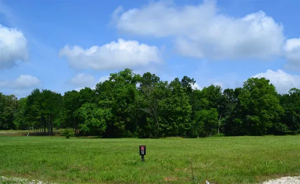 a view of a grassy field