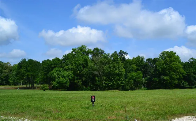 a view of a grassy field