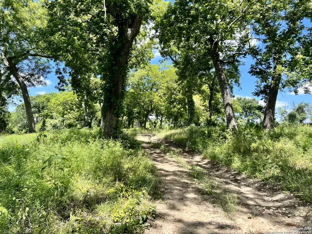 a view of outdoor space and tree
