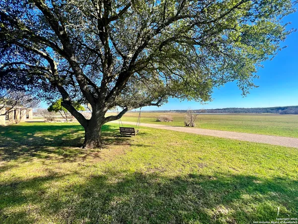 a view of yard with trees