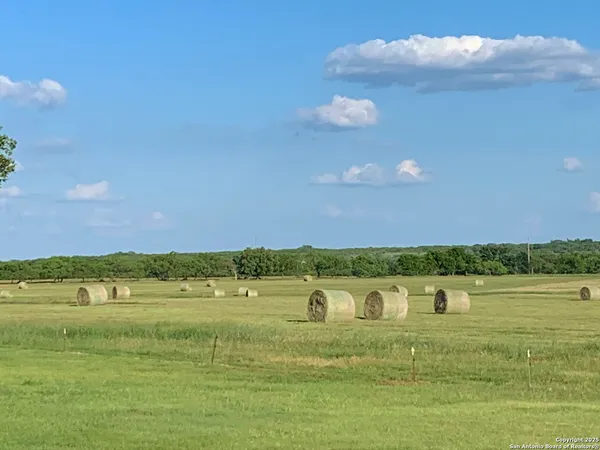a view of a lake with a city