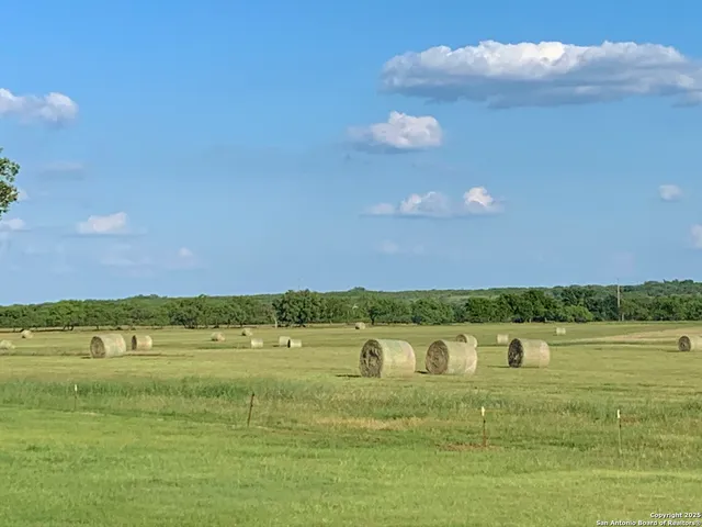 a view of a lake with a city