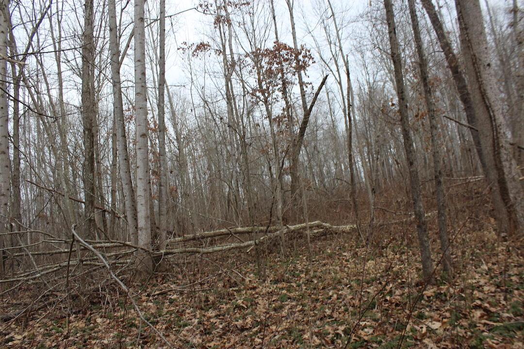 0 Whaleytown Road Jackson, OH 45640 - Photo 13 of 34 Gallery Image 13