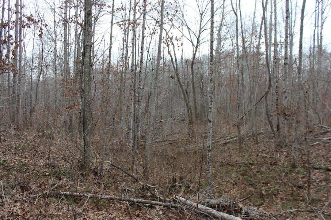 0 Whaleytown Road Jackson, OH 45640 - Photo 14 of 34 Gallery Image 14