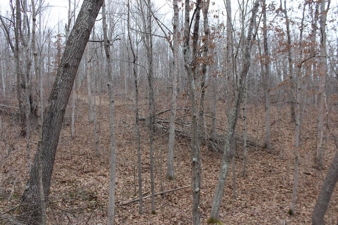 0 Whaleytown Road Jackson, OH 45640 - Photo 15 of 34 Gallery Image 15