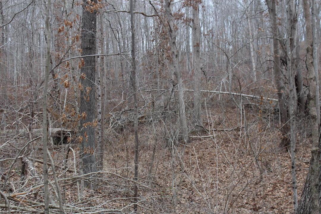 0 Whaleytown Road Jackson, OH 45640 - Photo 16 of 34 Gallery Image 16