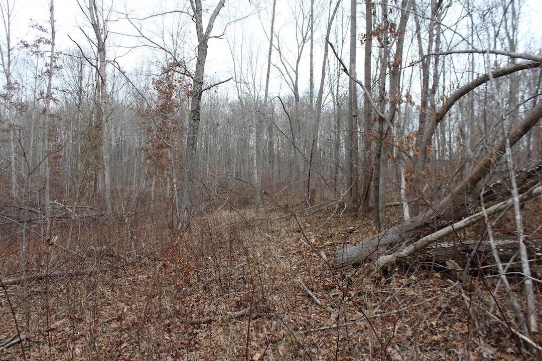0 Whaleytown Road Jackson, OH 45640 - Photo 17 of 34 Gallery Image 17