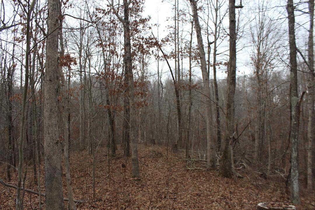 0 Whaleytown Road Jackson, OH 45640 - Photo 18 of 34 Gallery Image 18