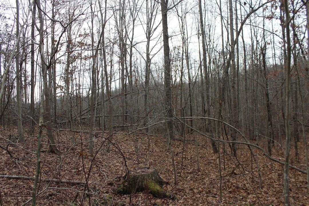 0 Whaleytown Road Jackson, OH 45640 - Photo 19 of 34 Gallery Image 19