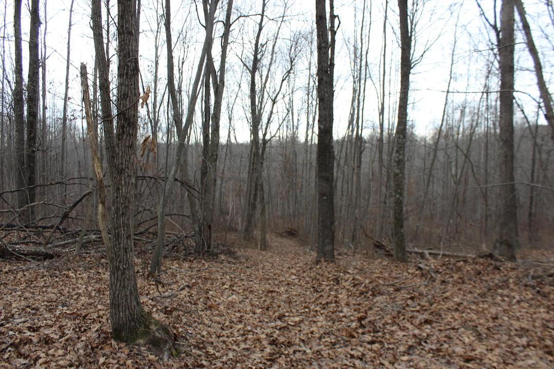0 Whaleytown Road Jackson, OH 45640 - Photo 23 of 34 Gallery Image 23