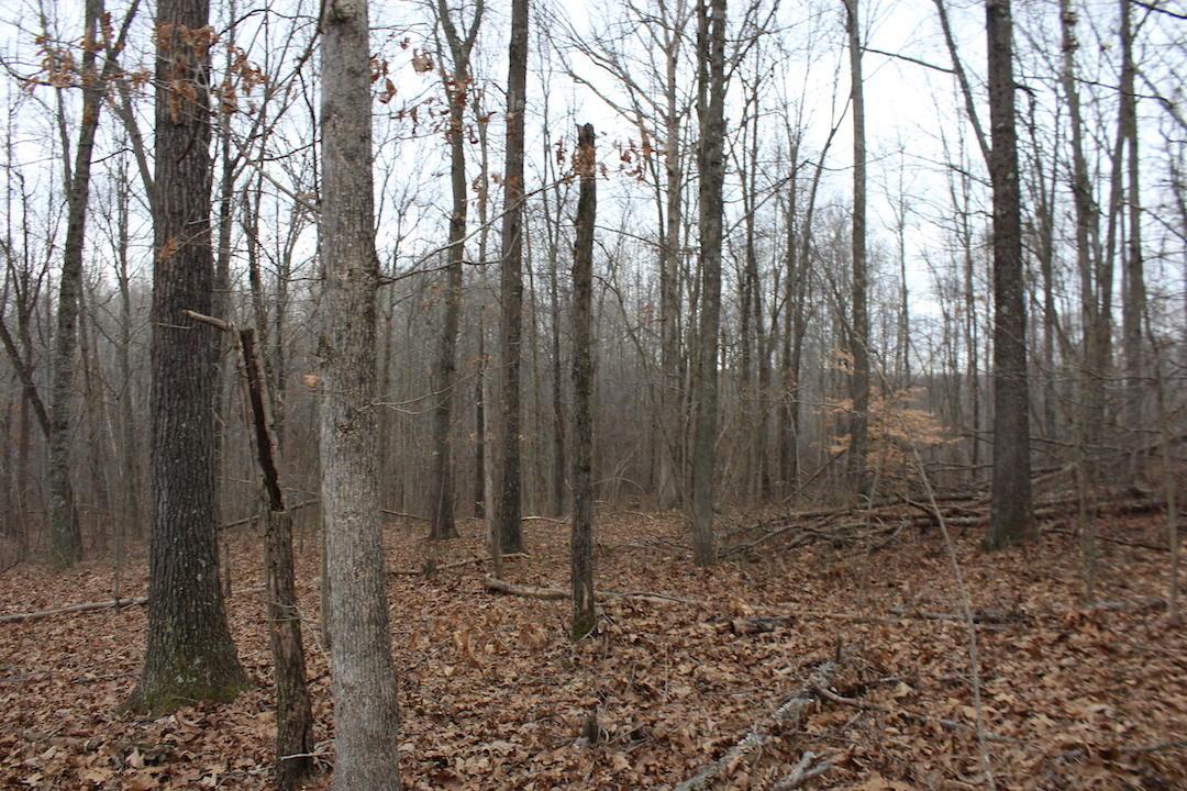 0 Whaleytown Road Jackson, OH 45640 - Photo 24 of 34 Gallery Image 24