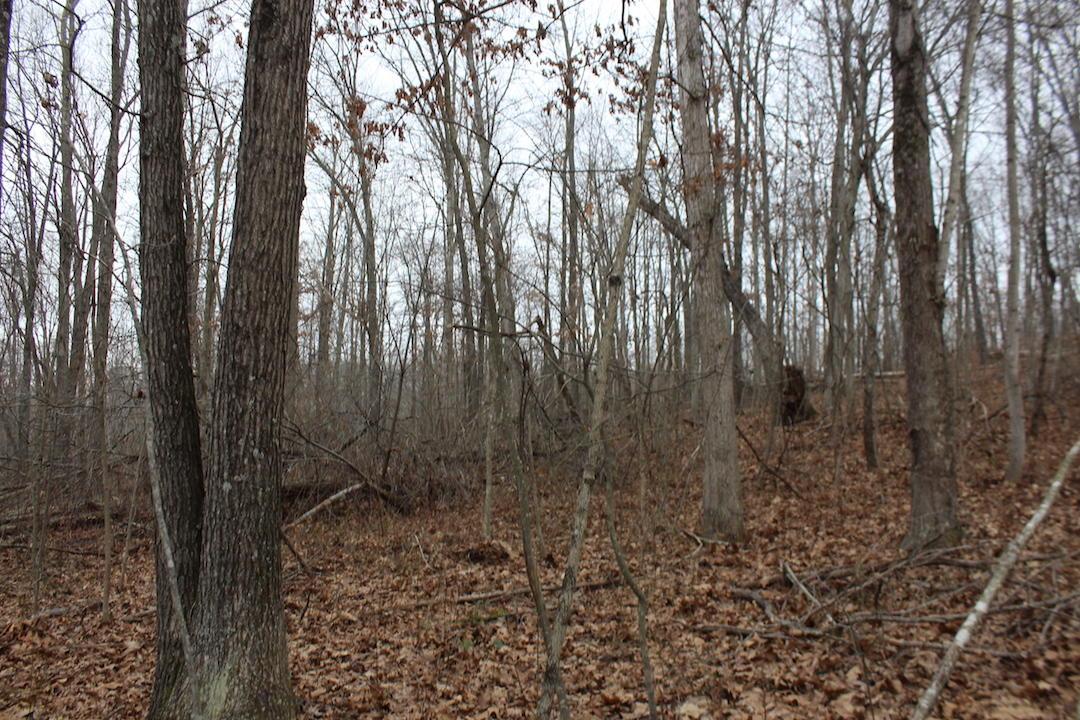 0 Whaleytown Road Jackson, OH 45640 - Photo 25 of 34 Gallery Image 25