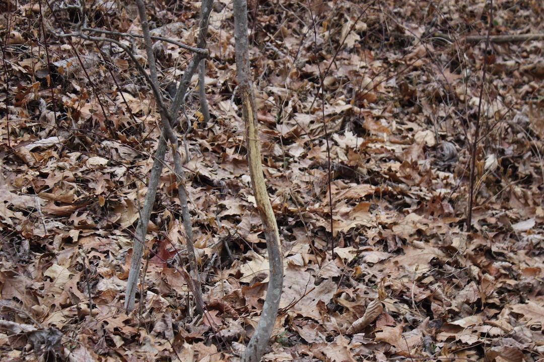 0 Whaleytown Road Jackson, OH 45640 - Photo 26 of 34 Gallery Image 26