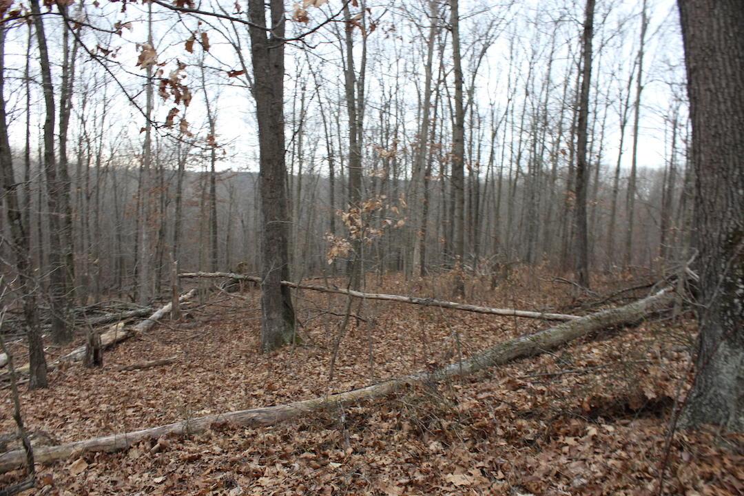 0 Whaleytown Road Jackson, OH 45640 - Photo 27 of 34 Gallery Image 27