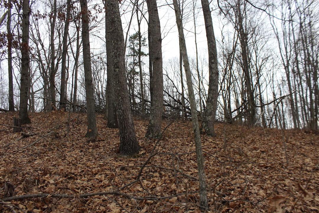0 Whaleytown Road Jackson, OH 45640 - Photo 28 of 34 Gallery Image 28