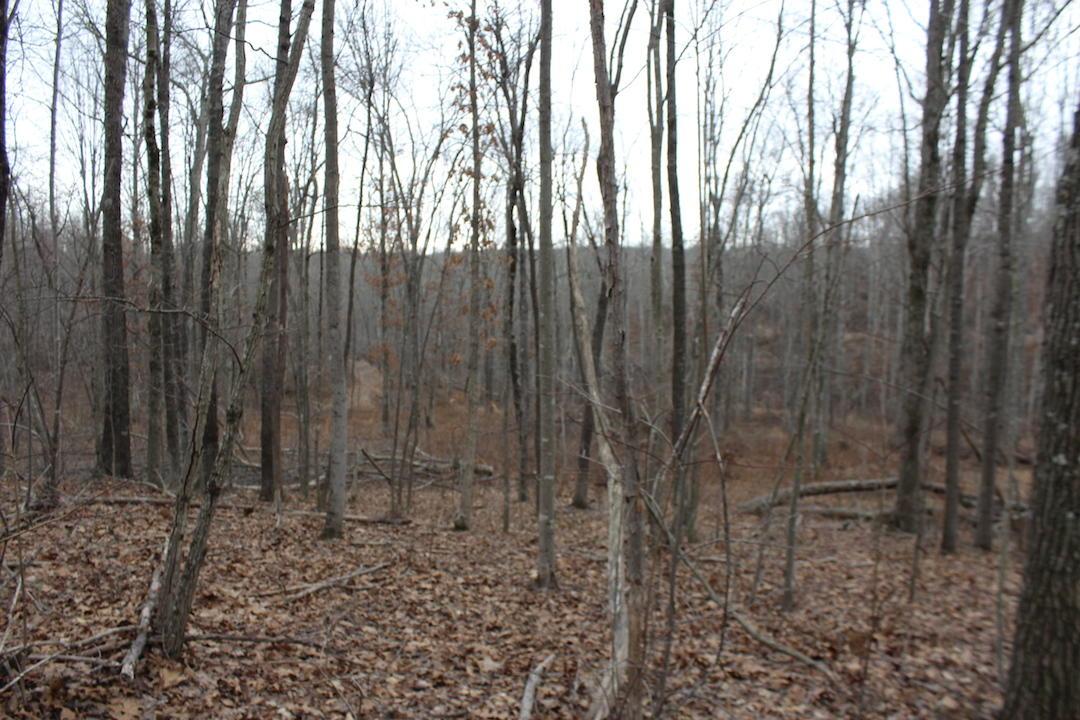 0 Whaleytown Road Jackson, OH 45640 - Photo 29 of 34 Gallery Image 29