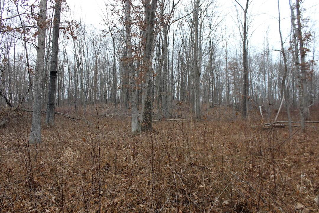 0 Whaleytown Road Jackson, OH 45640 - Photo 30 of 34 Gallery Image 30