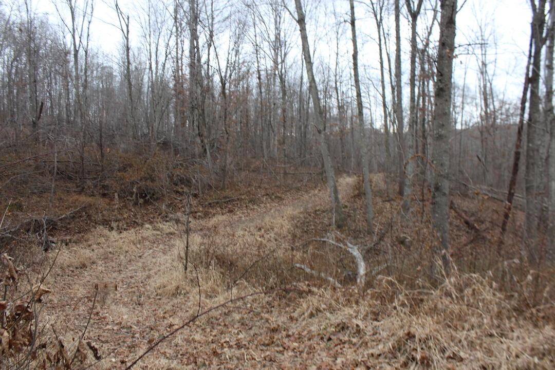 0 Whaleytown Road Jackson, OH 45640 - Photo 31 of 34 Gallery Image 31