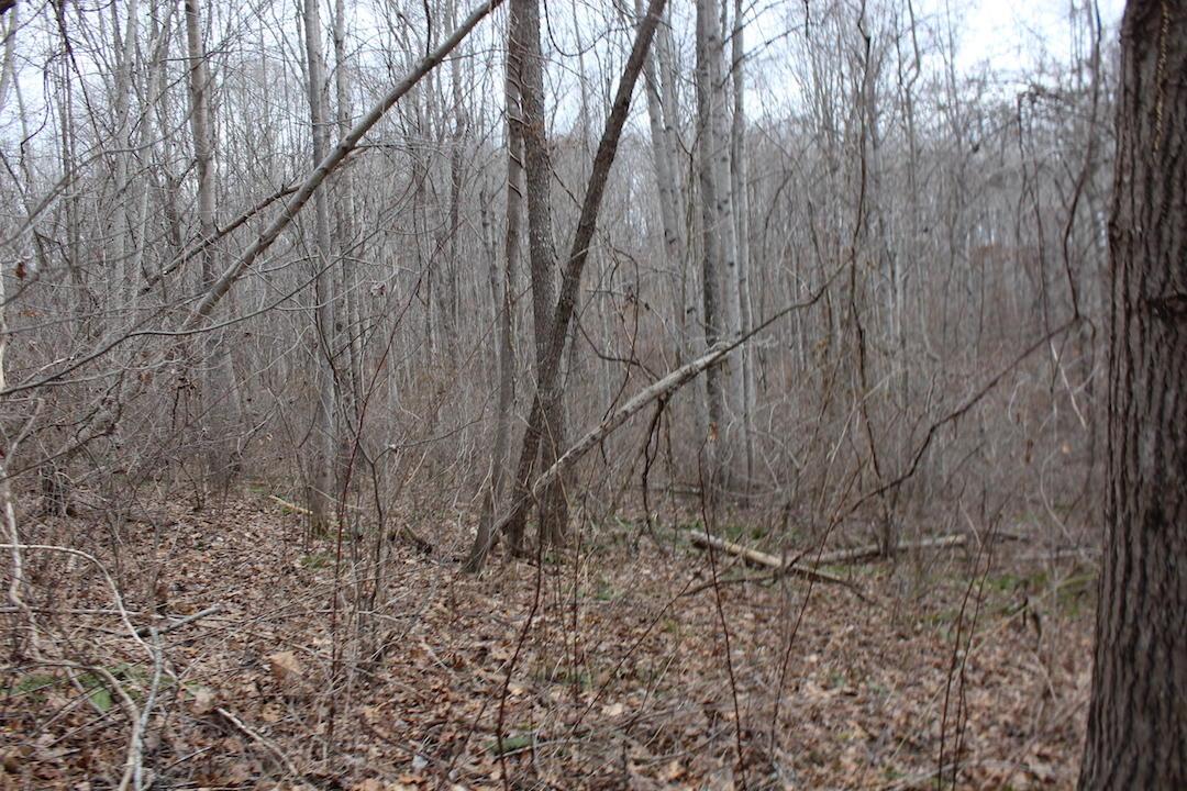 0 Whaleytown Road Jackson, OH 45640 - Photo 10 of 34 Gallery Image 10