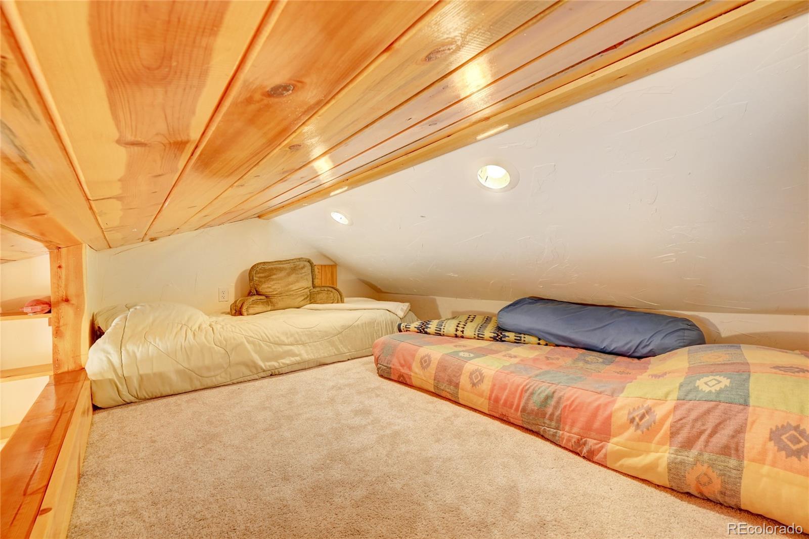258 P61 Road Bailey, CO 80421 - Photo 22 of 40 Gallery Image 22