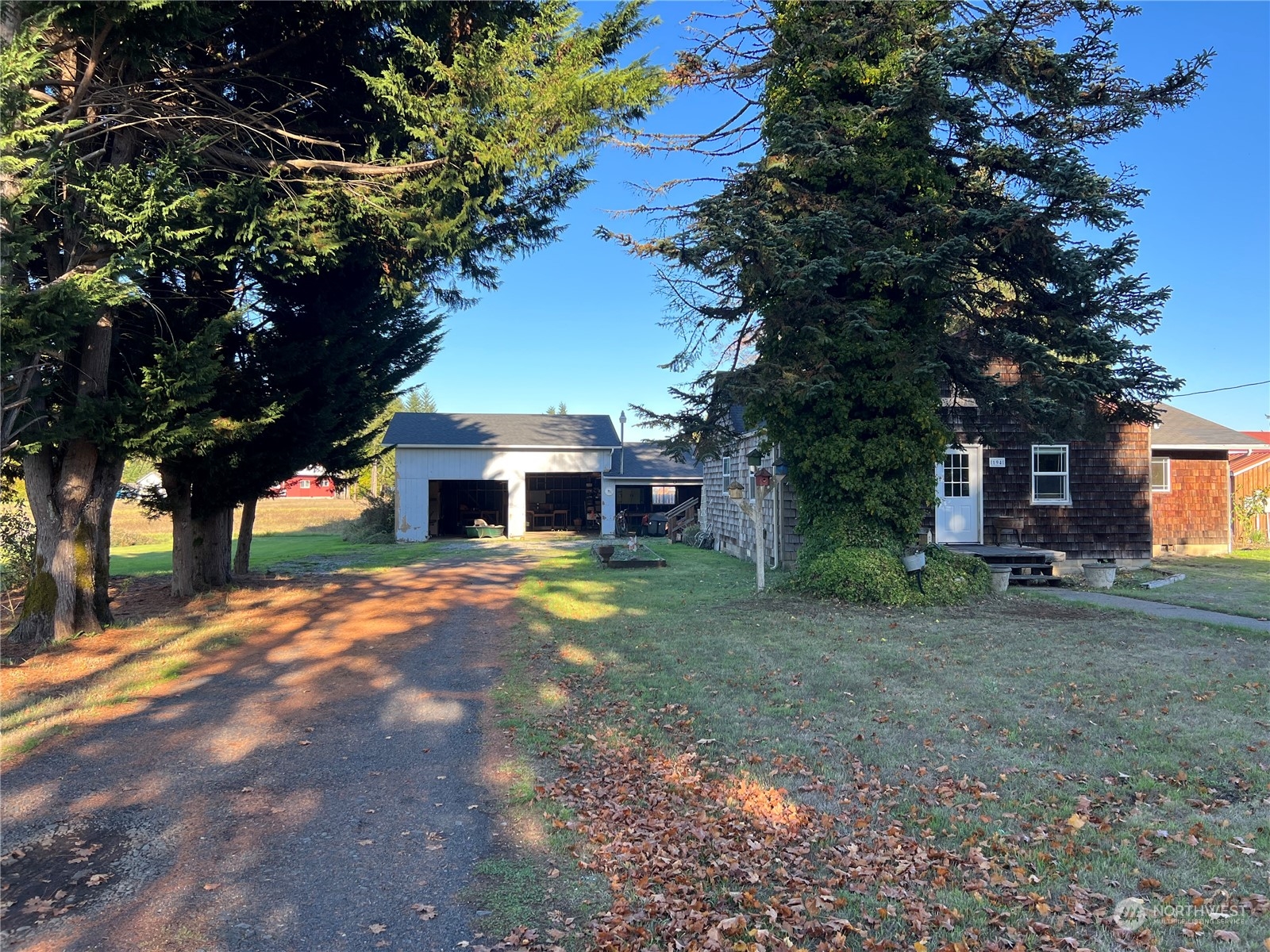 194 Stevens Road Doty, WA 98539 - Photo 3 of 18 a view of a yard with a house in the background