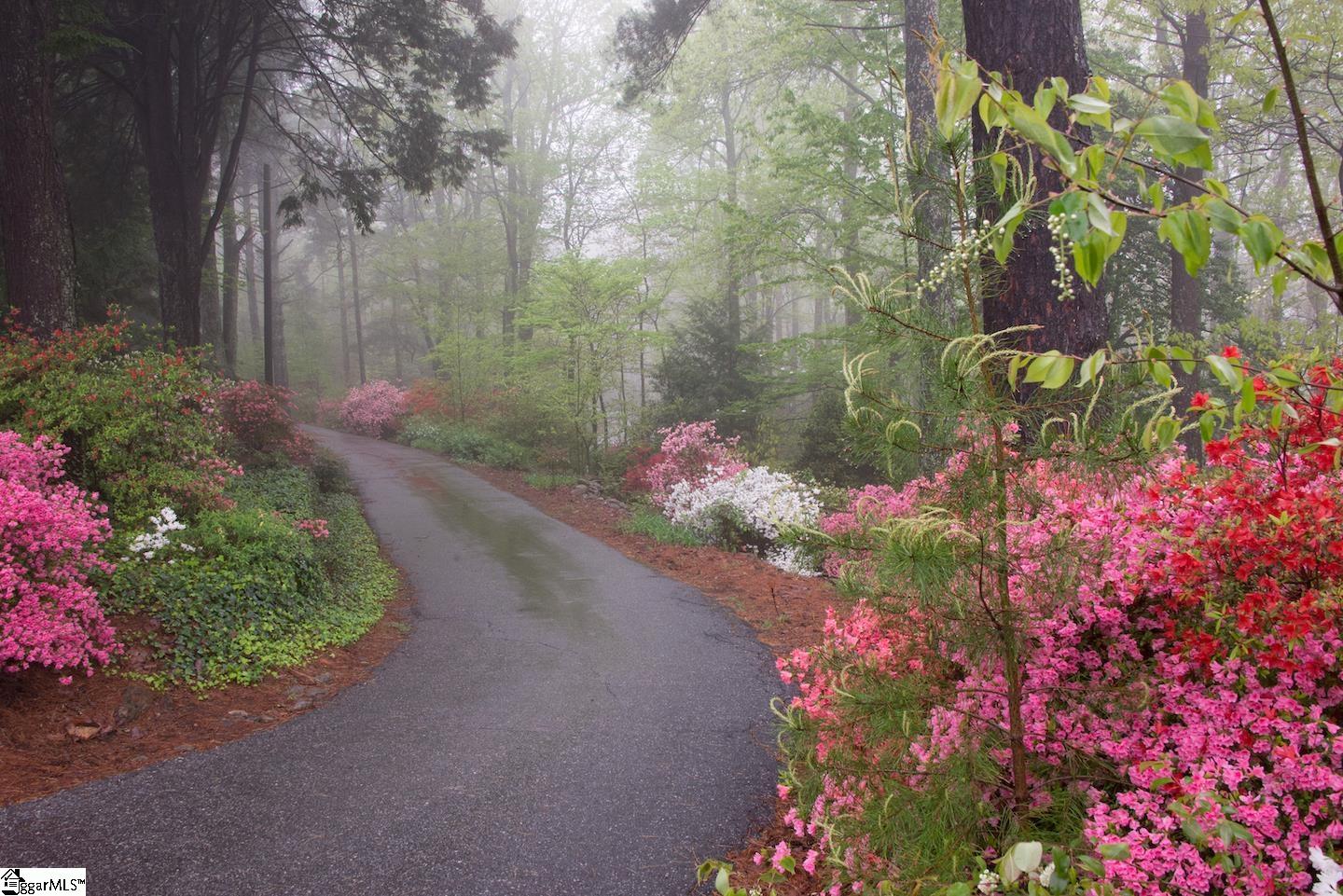 63 Chestnut Ridge Road Greenville, SC 29609 - Photo 34 of 36 Spring Morning