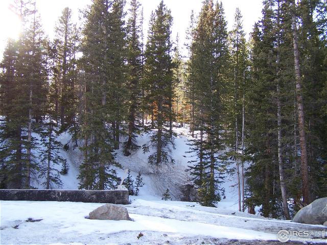 396 Lake Road Idaho Springs, CO 80452 - Photo 1 of 5 Gallery Image 1