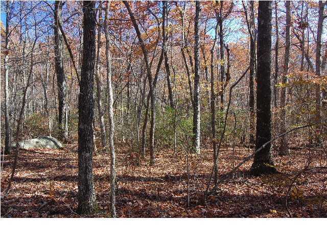 22 West Bluff Road Cloudland, GA 30731 - Photo 3 of 14 Additional Photo
