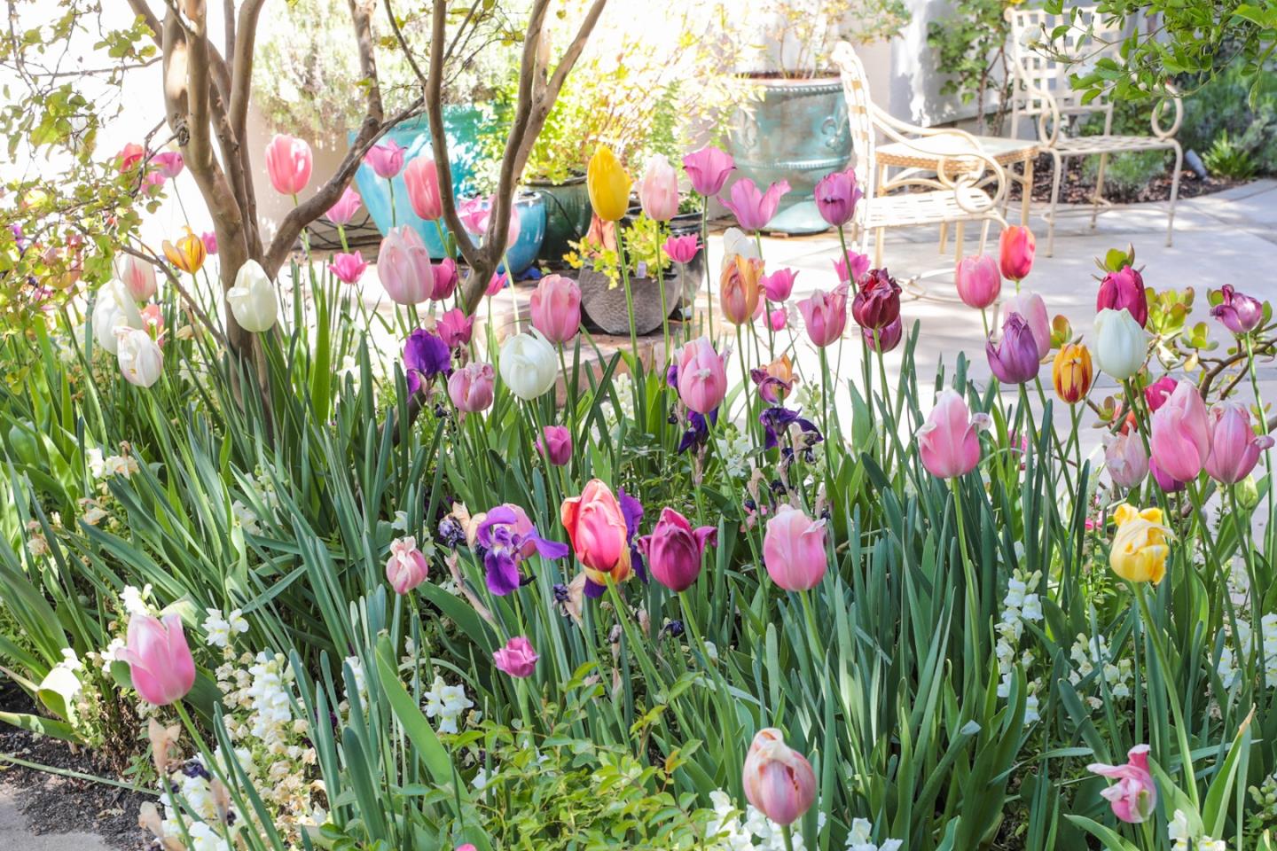 50 Barry Lane Atherton, CA 94027 - Photo 38 of 38 a view of street