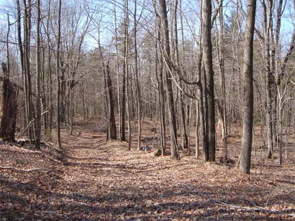 Lot 7.1 Haynes Hill Road Brimfield, MA 01010 - Photo 13 of 14