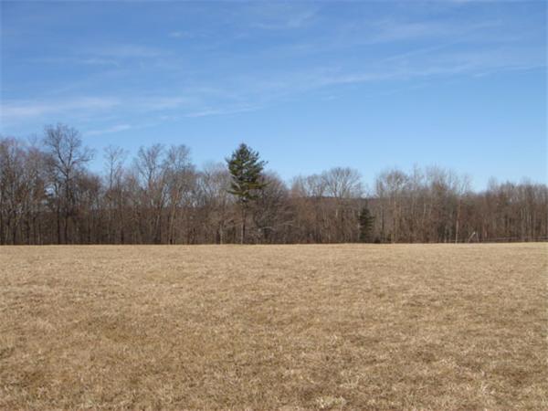 Lot 7.1 Haynes Hill Road Brimfield, MA 01010 - Photo 14 of 14