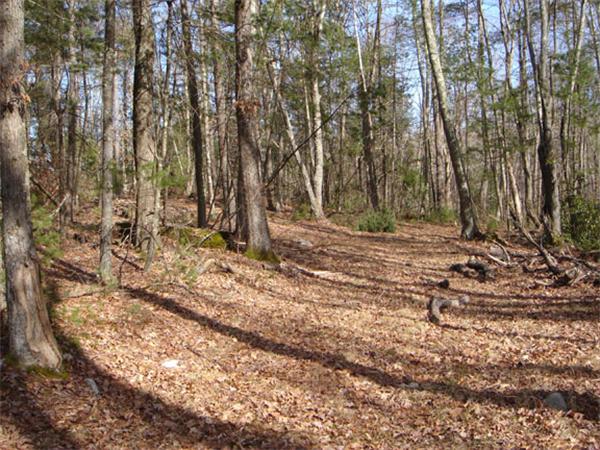 Lot 7.1 Haynes Hill Road Brimfield, MA 01010 - Photo 3 of 14