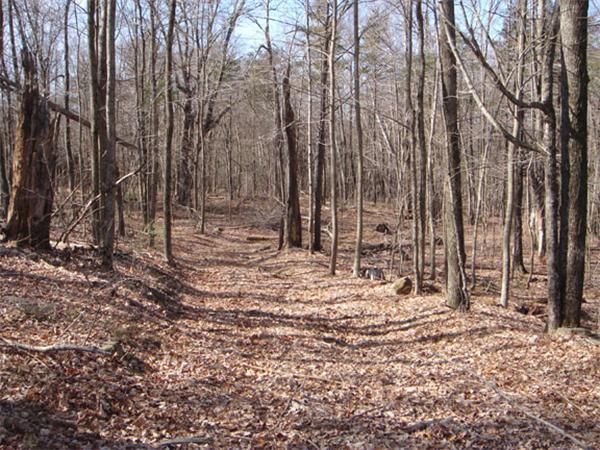 Lot 7.1 Haynes Hill Road Brimfield, MA 01010 - Photo 4 of 14