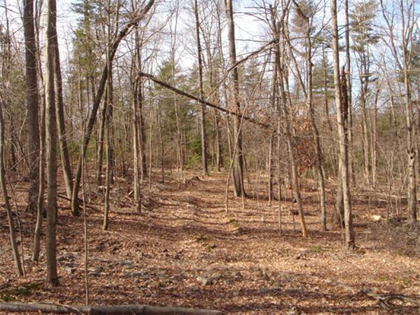 Lot 7.1 Haynes Hill Road Brimfield, MA 01010 - Photo 6 of 14