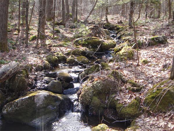 Lot 7.1 Haynes Hill Road Brimfield, MA 01010 - Photo 7 of 14