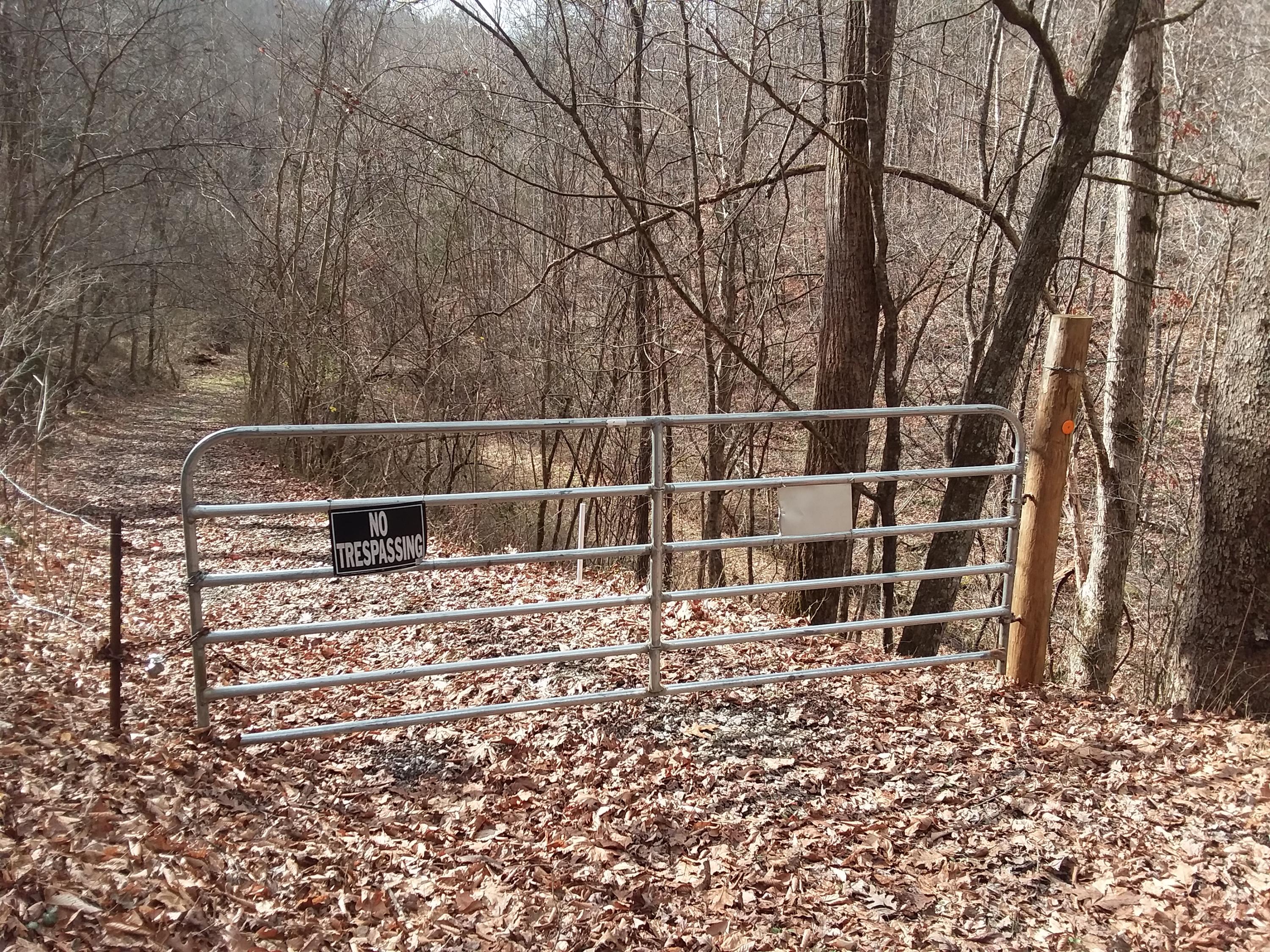 Oo Chestnut Ridge Road Eidson, TN 37731 - Photo 2 of 11 20190130_113944