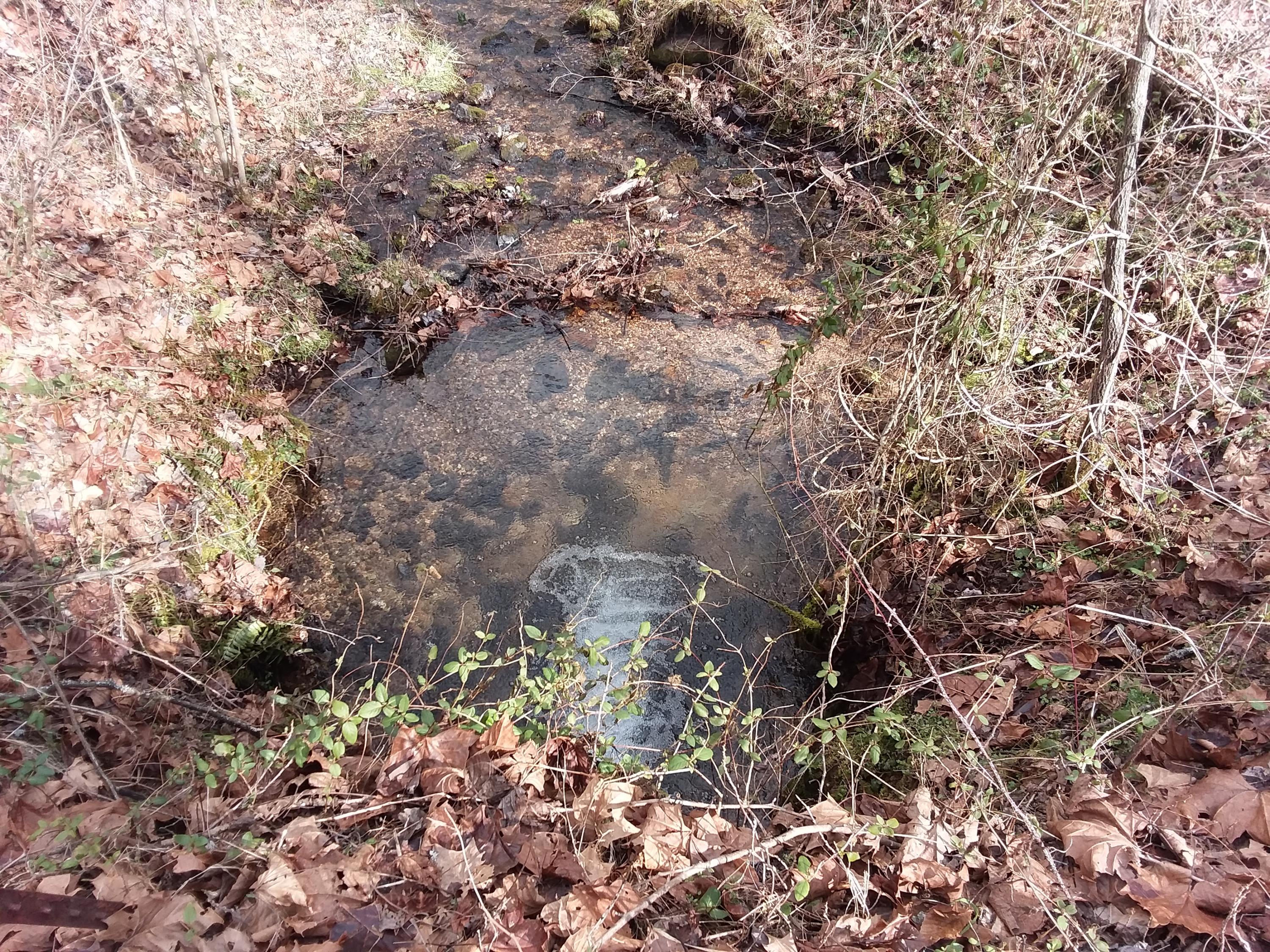 Oo Chestnut Ridge Road Eidson, TN 37731 - Photo 3 of 11 20190130_114741