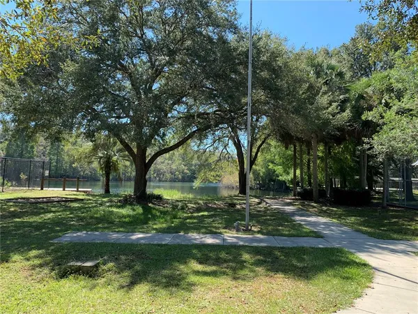 a view of a park with a large tree