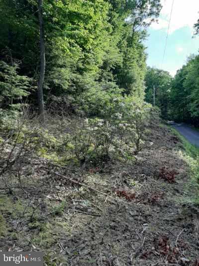 22-23a Rupp Road Elliottsburg, PA 17024 - Photo 3 of 8 Gallery Image 3