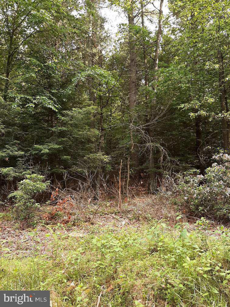 22-23a Rupp Road Elliottsburg, PA 17024 - Photo 7 of 8 Gallery Image 7