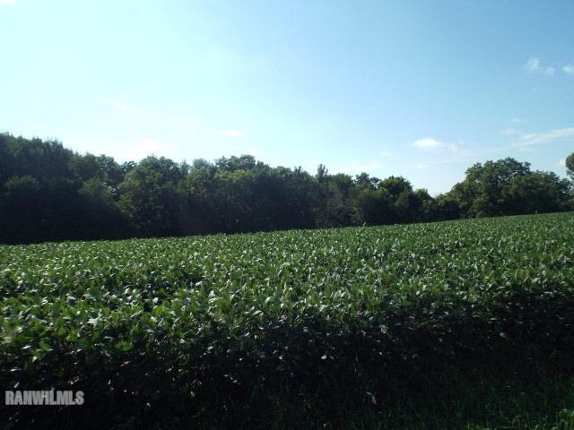 1735 West Steele Road Hanover, IL 61041 - Photo 17 of 70 a view of a field of grass and trees