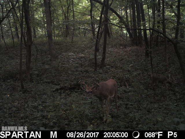 1735 West Steele Road Hanover, IL 61041 - Photo 20 of 70